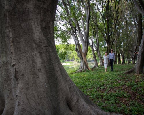 Elderly couple walking happily in the park outdoors
